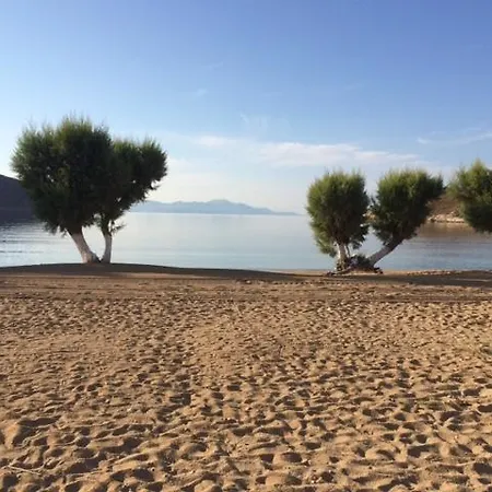 Aigli Kochlias * Livadakia
